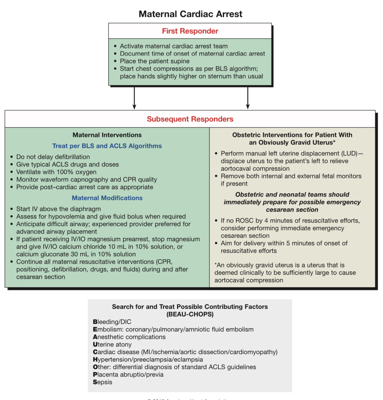 Maternal Arrest: CODE BLUE – The Dark Neb: Tuohy Time