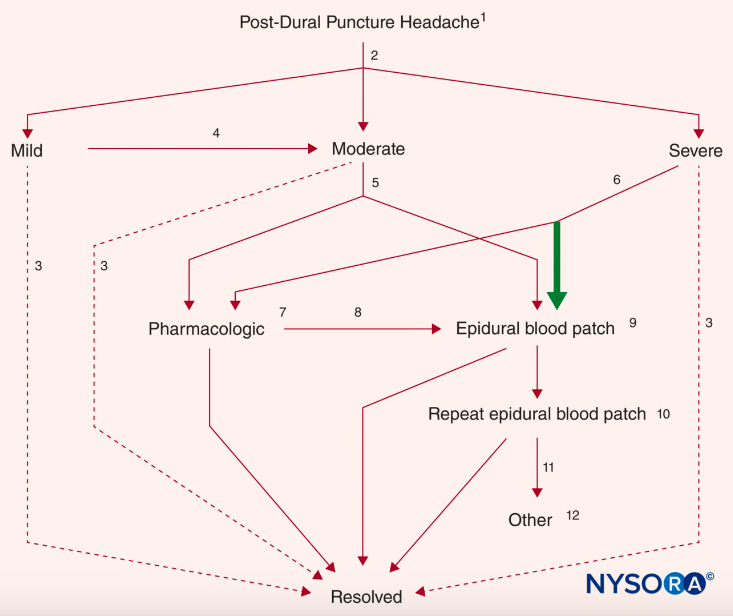 Post-Op Rounds, Hematomas, PDPH & EBPs. – The Dark Neb: Tuohy Time
